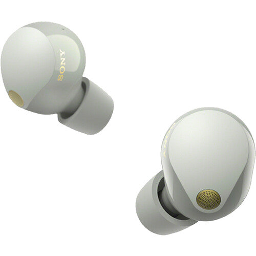 Sony Noise-Canceling True Wireless In-Ear Headphones - Silver