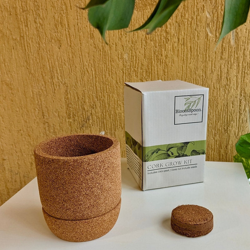 BloomSpoon Cork Grow Kit - sustainable/eco friendly/green