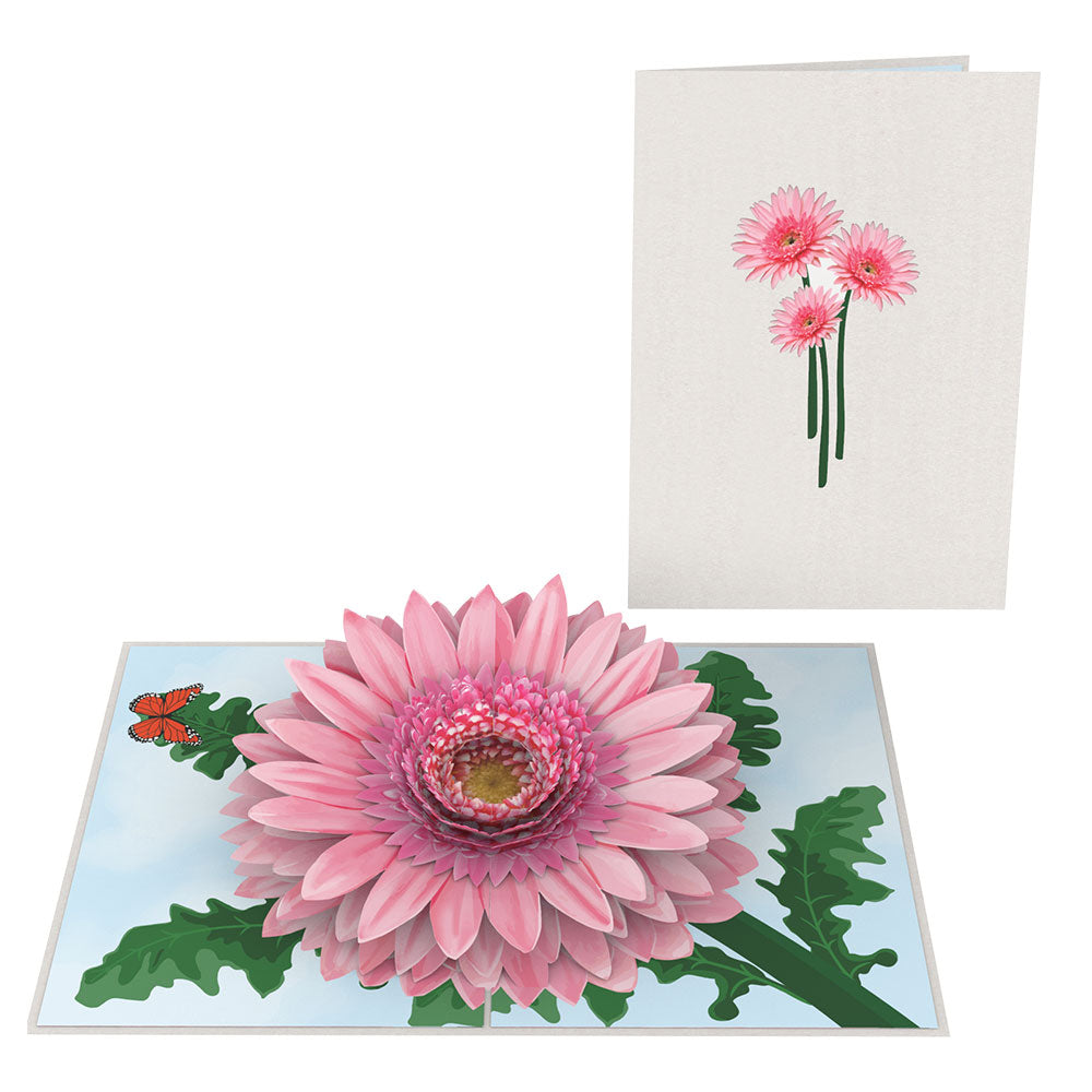 Daisies Flower Pop Up Birthday Greeting Card